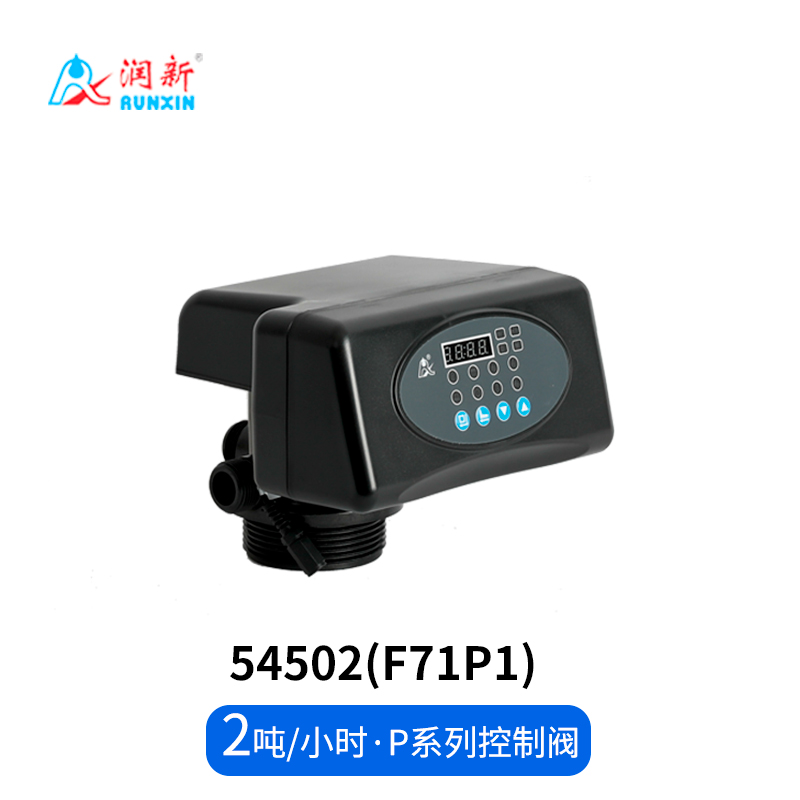 P系列過(guò)濾閥54502(F71P1)